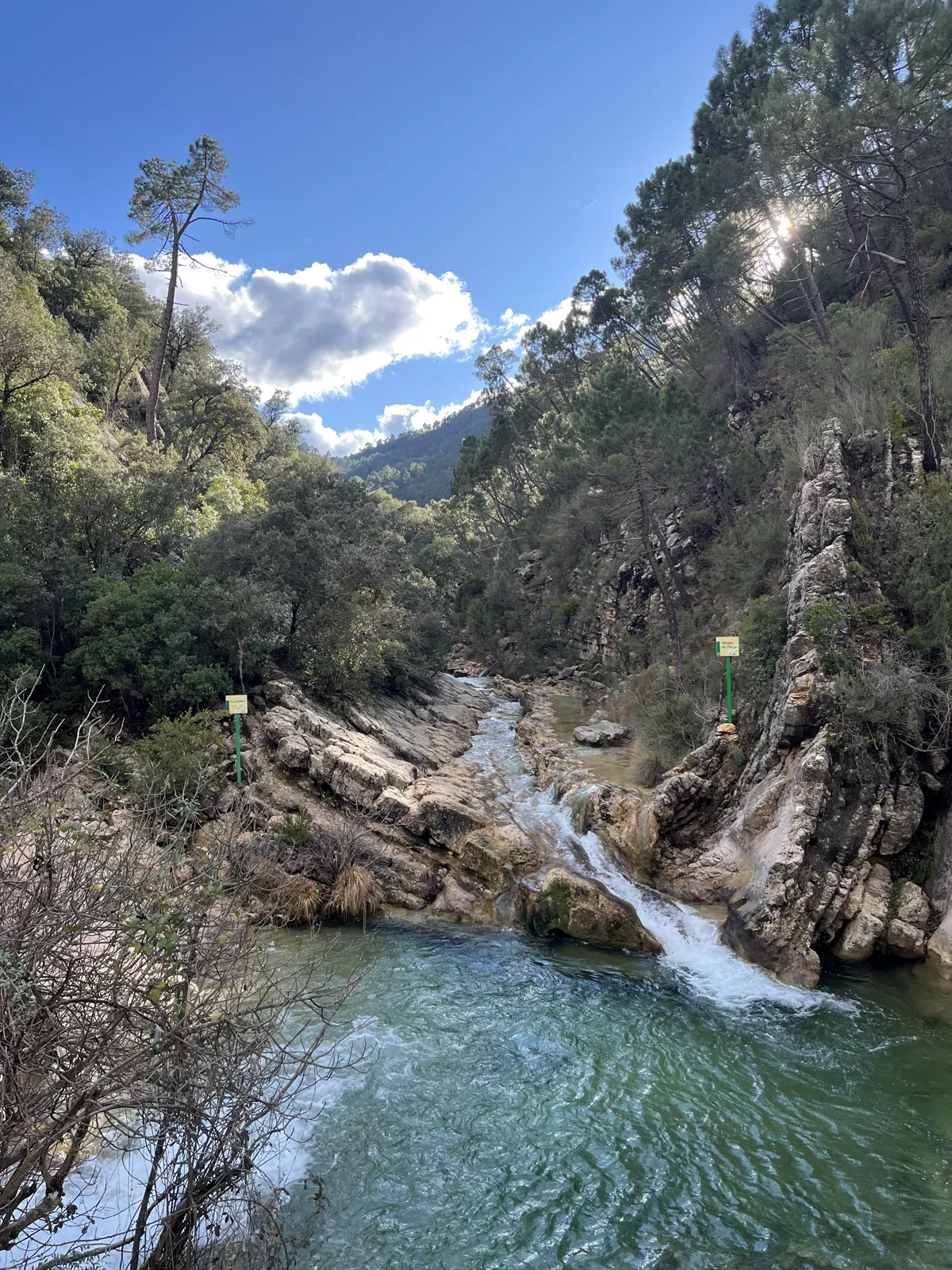 Salto de agua y poza entre rocas y pinos en el entorno de Cazorla