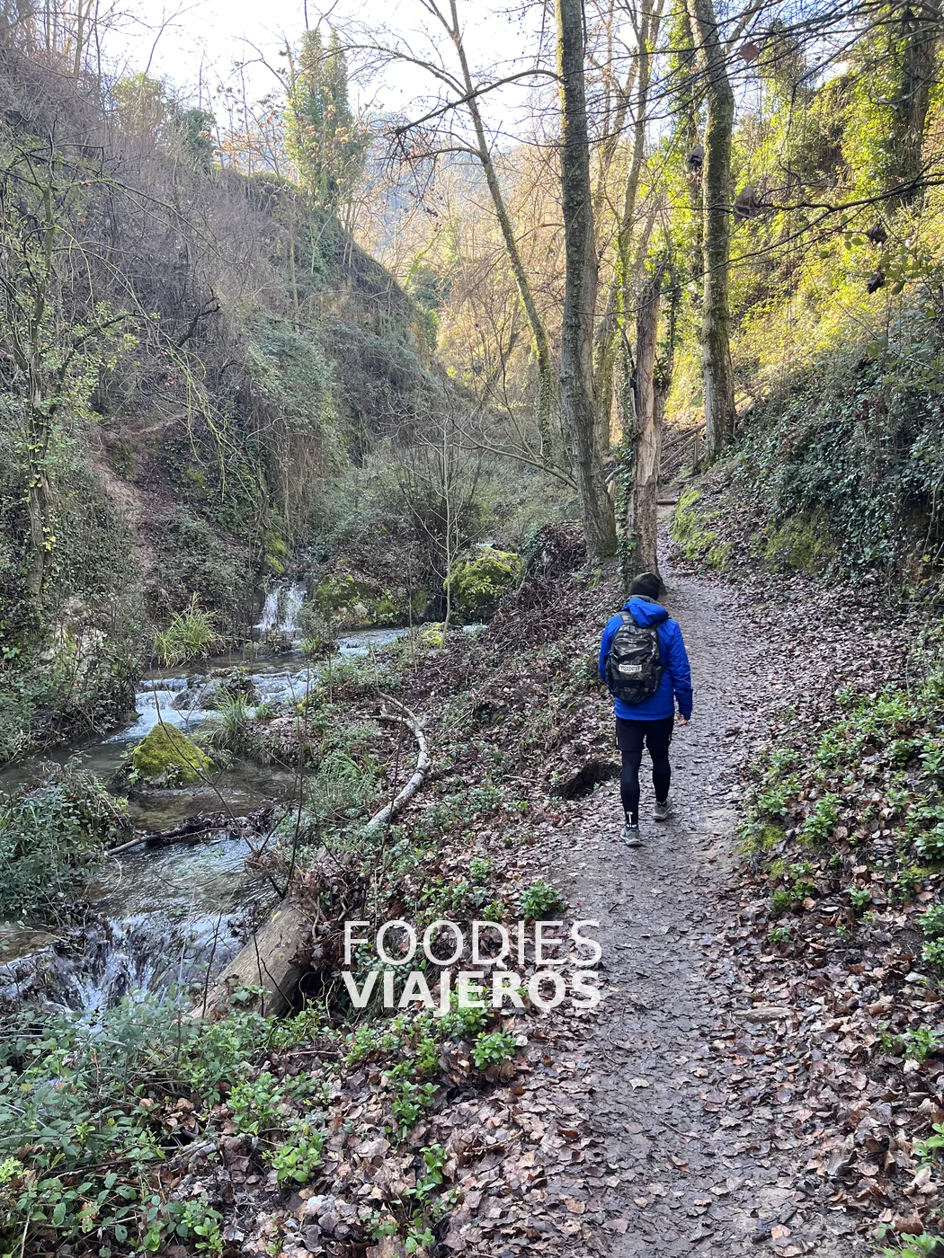 El sendero junto al río Cerezuelo durante nuestra ruta de enero.